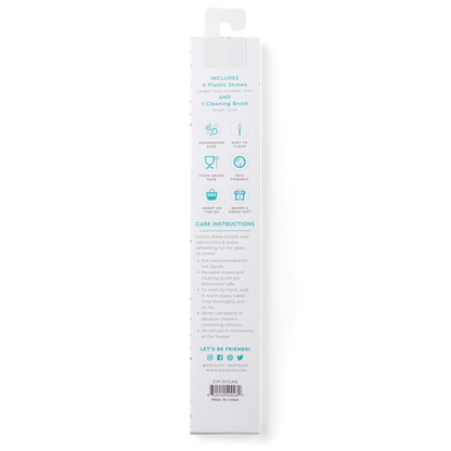 Clear + Aqua Reusable Straw Set